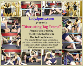 Distrusting Tag Teams