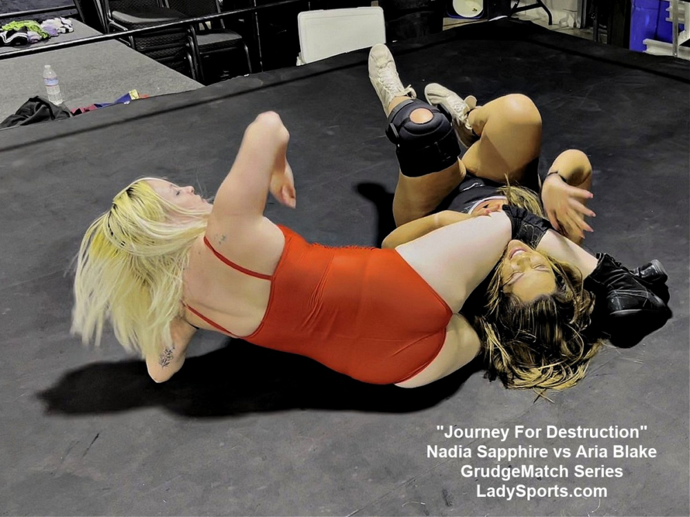 Journey for Destruction - Image 6