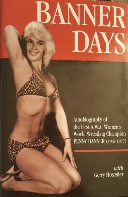 Banner Days Book
