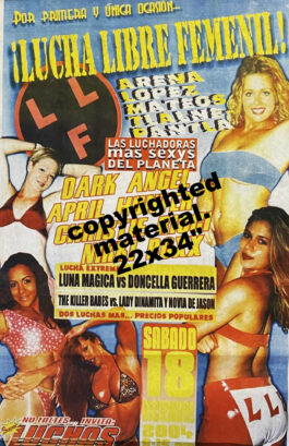 LLF Event Poster From 2004