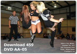 Fall Brawl Match 3